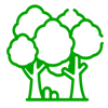 Seguro  Floresta